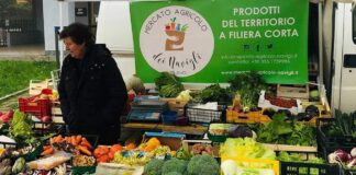 Samuel Calota: ”De ce să nu avem și noi, românii, supermarketul nostru?”