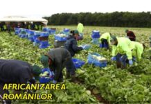 Samuel Calotă: „Pribegi prin lume, pentru o pâine albă, dar amară!”