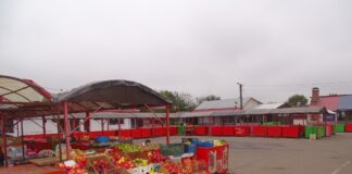 Dănuț Cristescu despre închiderea piețelor: „Această măsură nu a reușit decât să creeze haos în rândul producătorilor și comercianților”