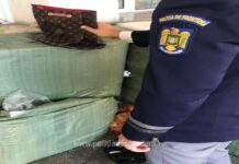 Aproape 14.000 de produse susceptibile a fi contrafăcute au fost descoperite de poliţiştii de frontieră la Zimnicea