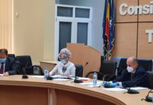 Adrian Florescu și Maria Stoian sunt noii vicepreședinți ai Consiliului Județean