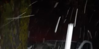 A pierdut controlul volanului și a intrat cu mașina într-un copac de pe marginea drumului
