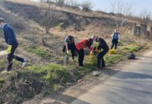 Angajații Primăriei Alexandria au participat la o campanie de ecologizare derulată în municipiul reședință de județ