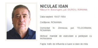 Omul de afaceri Ioan Niculae, condamnat la 5 ani de închisoare cu executare