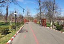 Locurile de joacă din Alexandria, foișoarele și locurile de grătar din Pădurea Vedea s-au redeschis