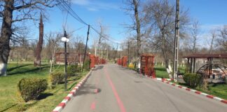 Locurile de joacă din Alexandria, foișoarele și locurile de grătar din Pădurea Vedea s-au redeschis