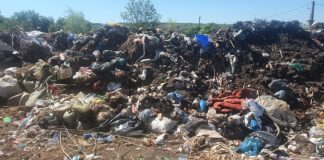 Munți de gunoaie zac la câteva zeci de metri de casele oamenilor, la Furculești