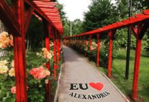 Victor Drăgușin: “Alexandria Europeană este realitatea la care lucrăm în fiecare zi”