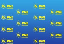 PNL Teleorman demarează alegerile interne