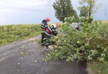 Vantul puternic a doborat copaci pe carosabil si pe casele oamenilor, in 12 localitati din Teleorman