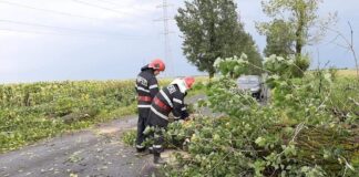 Vantul puternic a doborat copaci pe carosabil si pe casele oamenilor, in 12 localitati din Teleorman