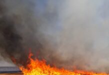 31 de incendii de vegetație uscată, în ultimele trei zile – Ce sancțiuni riscă cei care nu respectă legea