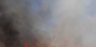 31 de incendii de vegetație uscată, în ultimele trei zile – Ce sancțiuni riscă cei care nu respectă legea