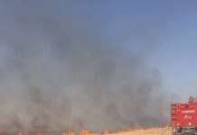 20 de incendii de vegetație în ultimele 3 zile – Pompierii militari atrag atenția asupra pericolelor care pot să apară