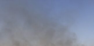20 de incendii de vegetație în ultimele 3 zile – Pompierii militari atrag atenția asupra pericolelor care pot să apară
