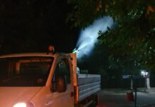 Acțiuni de dezinsecție terestră în Alexandria, începând cu 2 august