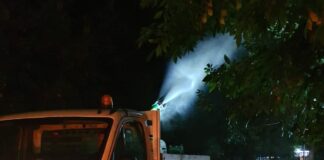 Acțiuni de dezinsecție terestră în Alexandria, începând cu 2 august