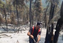 Patru pompieri din județ intervin pentru stingerea incendiilor din Grecia – ISU Teleorman: “Oamenii cu care ne mândrim”