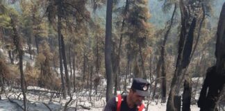 Patru pompieri din județ intervin pentru stingerea incendiilor din Grecia – ISU Teleorman: “Oamenii cu care ne mândrim”