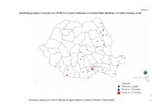Șapte cazuri de COVID-19 cu varianta Delta confirmate în județ; la nivel național au fost înregistrate 313 cazuri