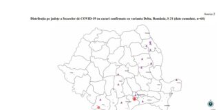 Șapte cazuri de COVID-19 cu varianta Delta confirmate în județ; la nivel național au fost înregistrate 313 cazuri