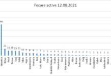 Județul Teleorman are cele mai multe focare active de pestă porcină africană/ 33 de noi focare înregistrate în ultima săptămână