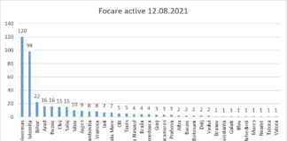Județul Teleorman are cele mai multe focare active de pestă porcină africană/ 33 de noi focare înregistrate în ultima săptămână