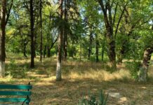 A fost predat amplasamentul pentru realizarea parcului de la fosta Unitate Militară