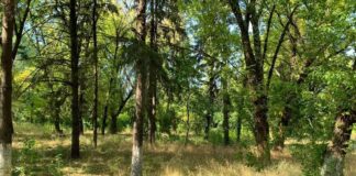 A fost predat amplasamentul pentru realizarea parcului de la fosta Unitate Militară