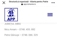 Carmen Dan revine în prim-planul politicii din Teleorman; Partidul susținut de Liviu Dragnea prinde contur în județ