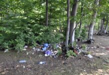 3940 kg de deșeuri colectate în cadrul Proiectului ,,Ziua de Curățenie Națională”