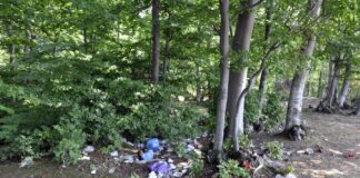 3940 kg de deșeuri colectate în cadrul Proiectului ,,Ziua de Curățenie Națională”
