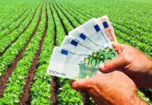 APIA a demarat Campania de informare a fermierilor cu privire la primirea Cererilor Unice de Plată