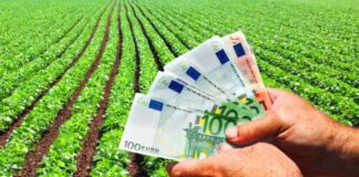 APIA a demarat Campania de informare a fermierilor cu privire la primirea Cererilor Unice de Plată