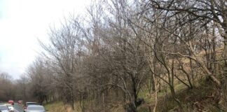 Accident rutier la Coșoteni – O persoană a fost rănită