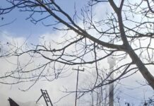 Bătrână din Călugăru, găsită moartă în uma unui incendiu provocat de jarul căzut din sobă
