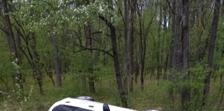 A ajuns la spital, după ce s-a răsturnat cu mașina în șanț