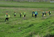 La nivelul județului continuă acțiunea inițiată de senatorul Eugen Pîrvulescu – “Teleorman, județ curat!”