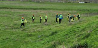 La nivelul județului continuă acțiunea inițiată de senatorul Eugen Pîrvulescu – “Teleorman, județ curat!”