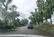 Copaci doborâți, autoturisme avariate și acoperișuri smulse de vânt – Efectele fenomenelor meteorologice periculoase înregistrate în județ