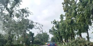 Copaci doborâți, autoturisme avariate și acoperișuri smulse de vânt – Efectele fenomenelor meteorologice periculoase înregistrate în județ