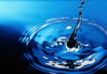 Concursul județean „APA- miracolul vieții”