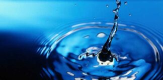 Concursul județean „APA- miracolul vieții”