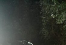 Grav accident rutier la Plopii Slăvitești – Un tânăr și-a pierdut viața