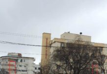 Alexandria: Călători ținuți în caniculă și ploaie, din cauza lăcomiei unora