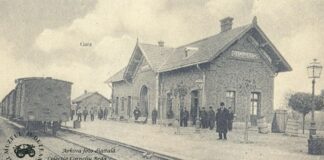 Fotogalerie. Dezolant: Gările de pe ruta Alexandria-Zimnicea- emblemele paraginii sistematice