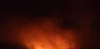 Incendiu de proporții, la Islaz – Câteva sute de hectare au ars la Balta Geraiului