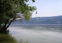 Tânăr posibil înecat, căutat de scafandrii ISU Teleorman în apele fluviului Dunărea, la Zimnicele