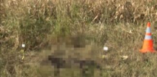 Cadavrul unei tinere din Alexandria, găsit pe câmp între Frumoasa și Bragadiru