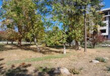 Primăria Alexandria a predat amplasamentul pentru construirea unei noi creșe în zona Peco